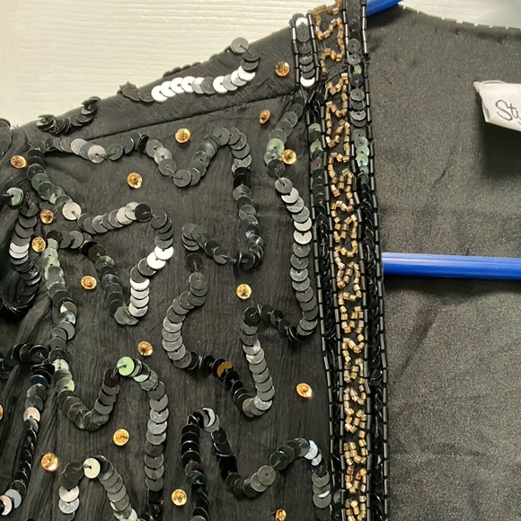 Sequins on 100percent silk shell, polyester liner. Sequins & beads-intricate. - Picture 5 of 6